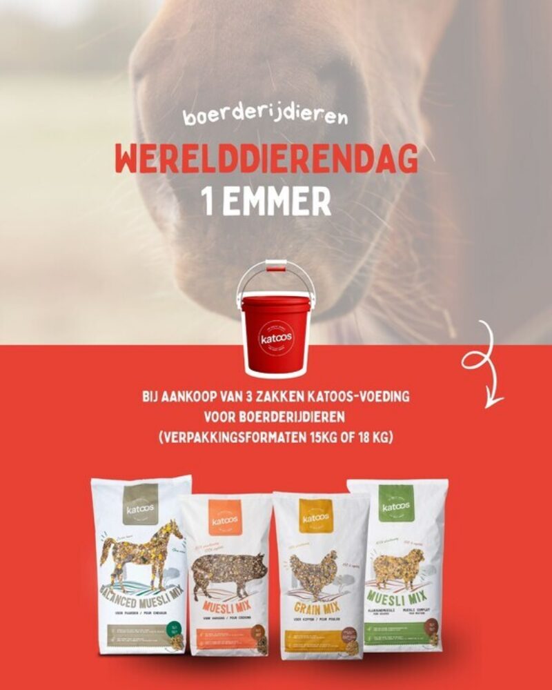 Werelddierendag emmer